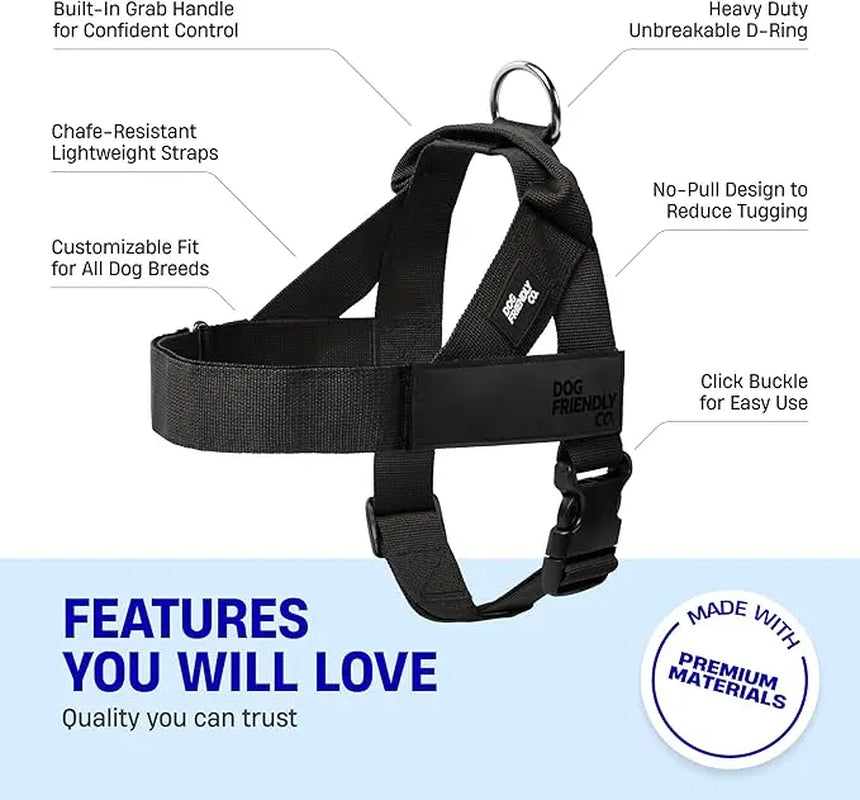 Dog Friendly Co. Harness + No-Pull D-Ring + Bungee Leash
