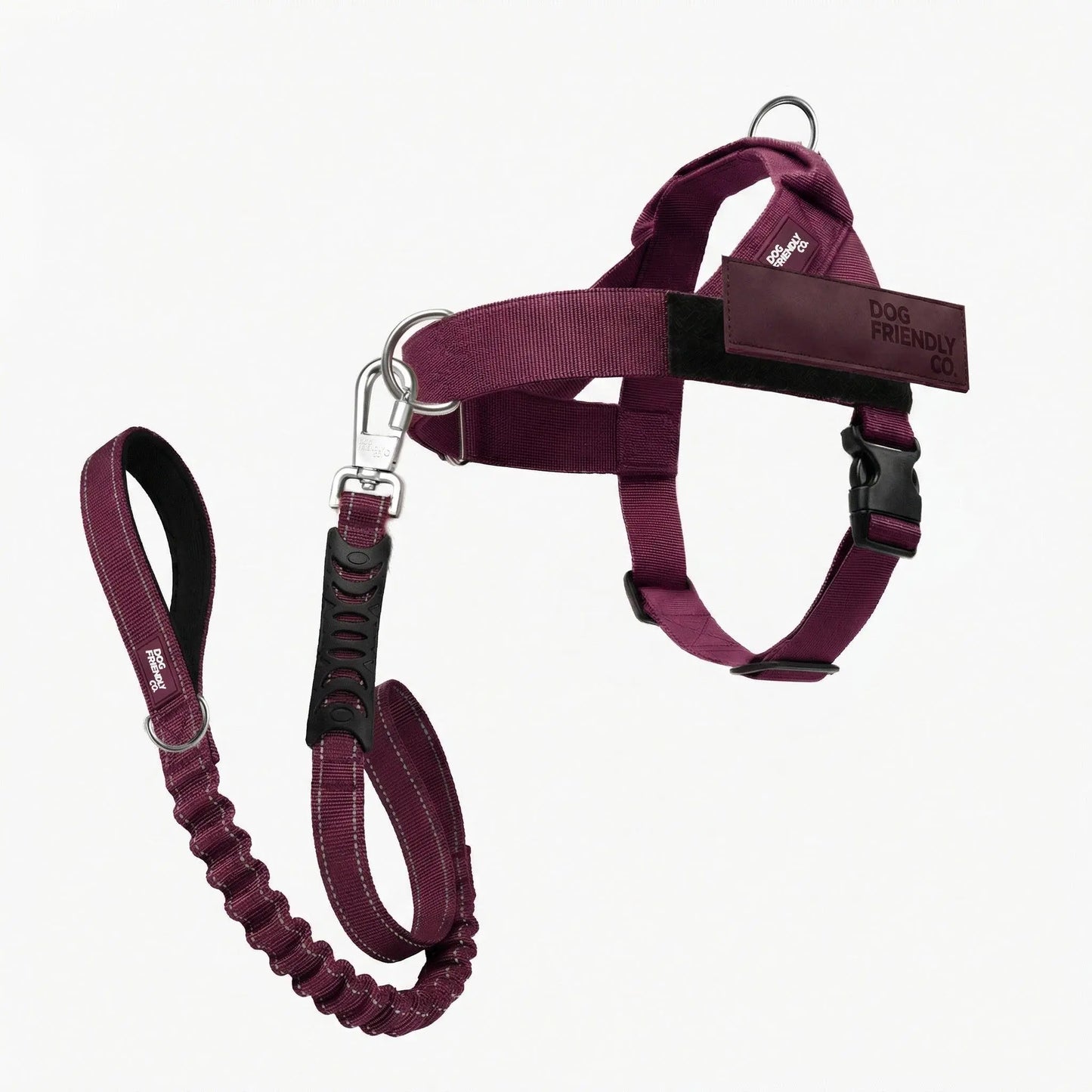 Dog Friendly Co. Harness + No-Pull D-Ring + Bungee Leash