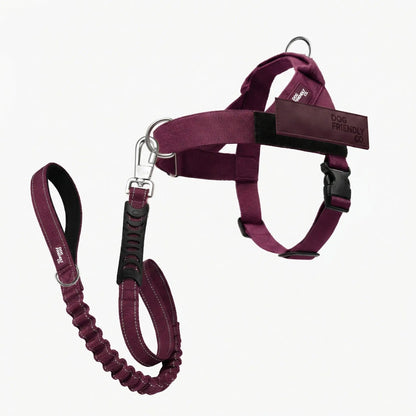 Dog Friendly Co. Harness + No-Pull D-Ring + Bungee Leash