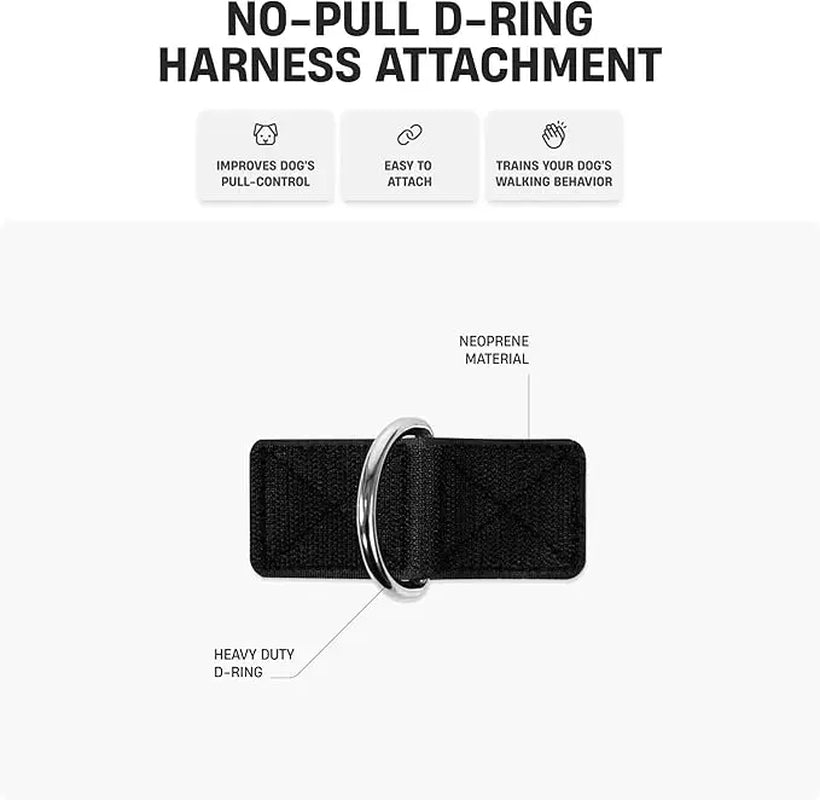 Dog Friendly Co. Harness + No-Pull D-Ring + Bungee Leash