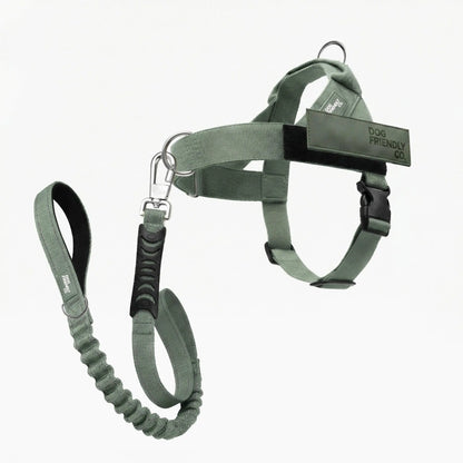 Dog Friendly Co. Harness + No-Pull D-Ring + Bungee Leash