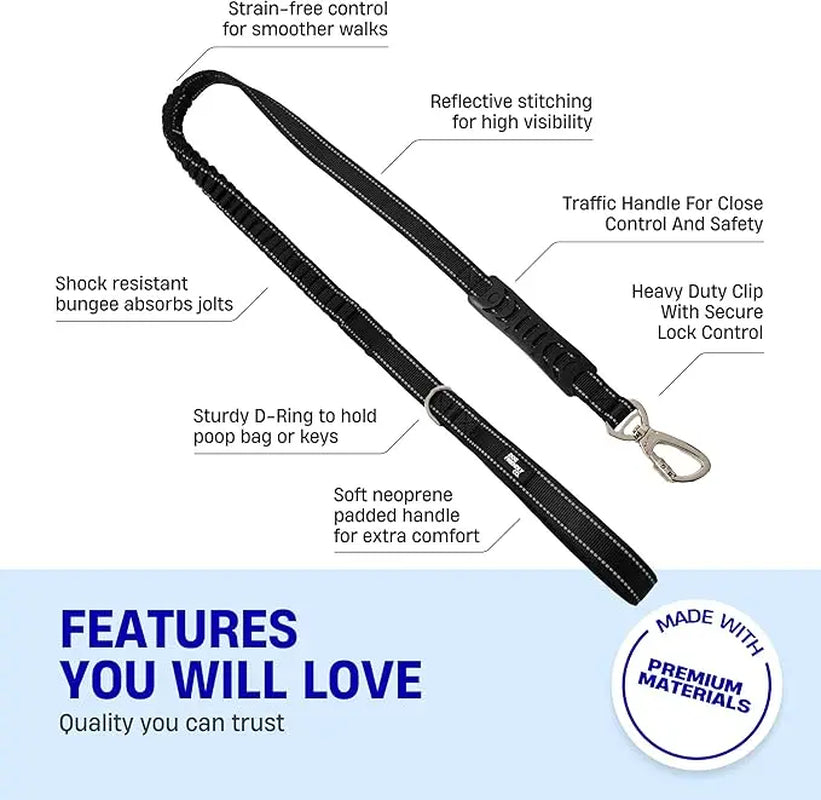 Dog Friendly Co. Harness + No-Pull D-Ring + Bungee Leash