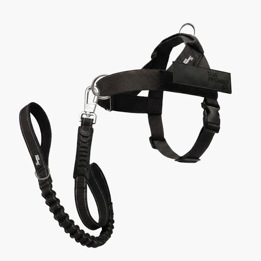 Dog Friendly Co. Harness + No-Pull D-Ring + Bungee Leash