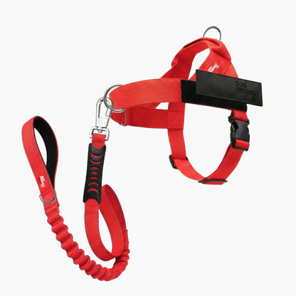 Dog Friendly Co. Harness + No-Pull D-Ring + Bungee Leash
